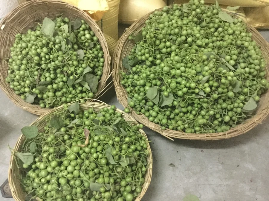 workshop gundas harvested april 24th